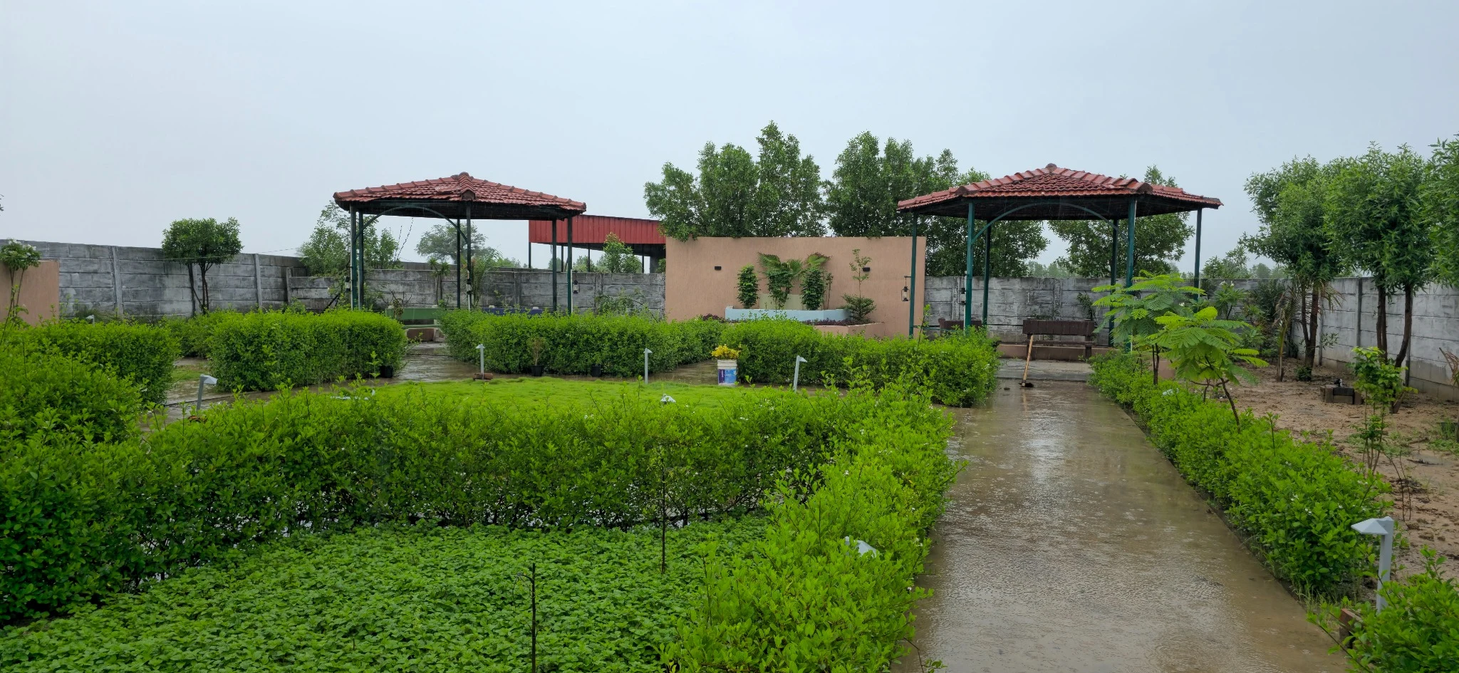 Gazebos, planted hedges and garden pathways at Global City