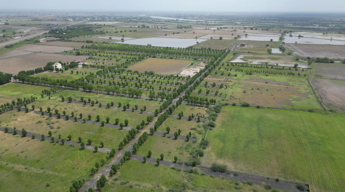 Actual aerial site photograph showing tree-lined internal roads and surrounding land
